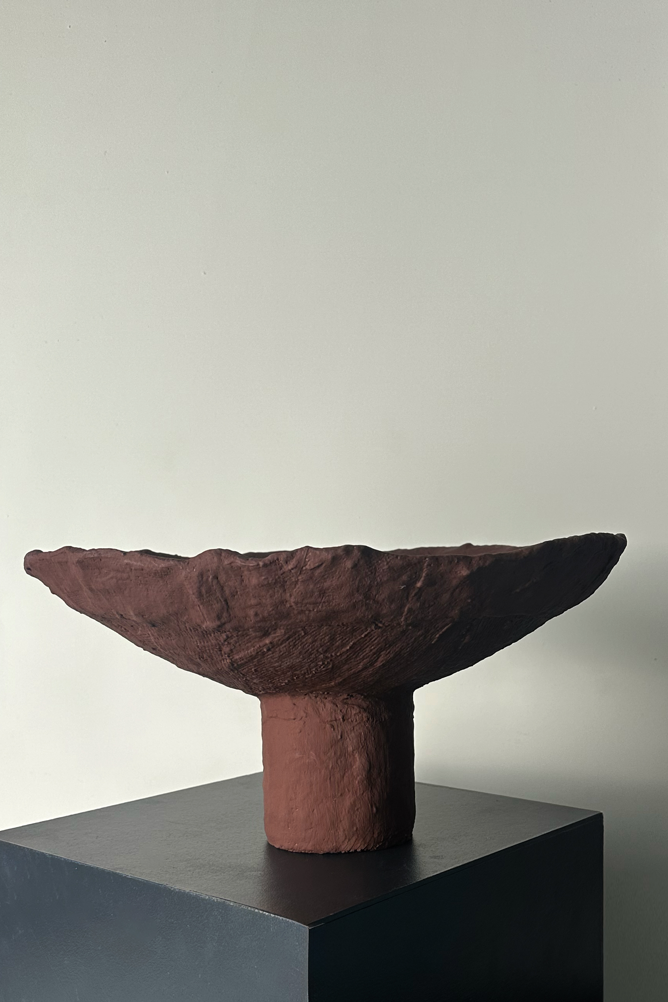 SCU013