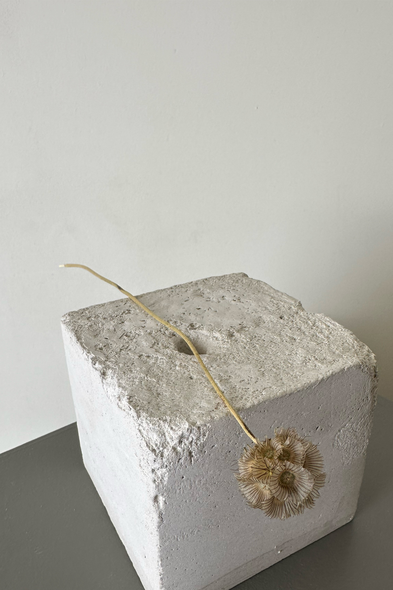 SHA015 detail